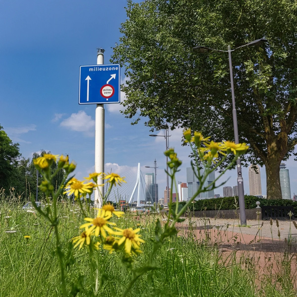 Verkeersbord milieuzone langs weg met aanduiding toegang en ontheffing zero-emissiezone